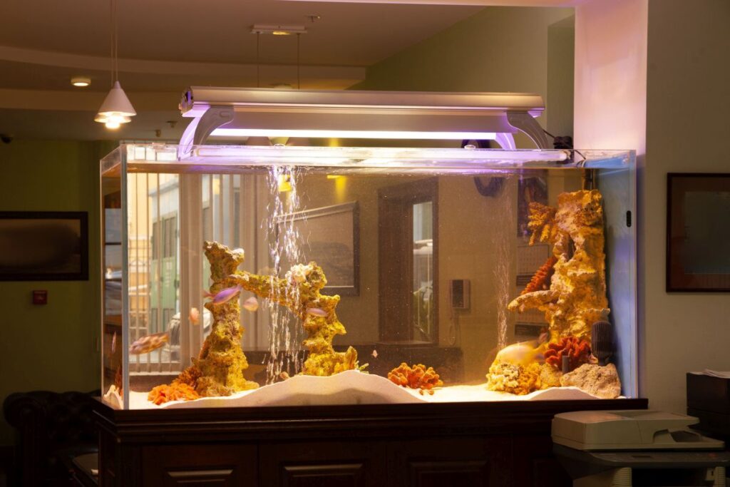 aquarium with fish with glowing yellow light lamp on top in dark room