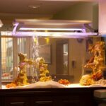 aquarium with fish with glowing yellow light lamp on top in dark room