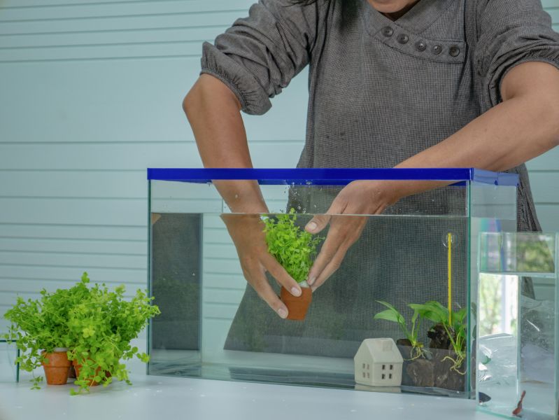 woman setting up aquarium at home